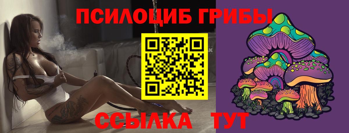 Галлюциногенные грибы Cubensis  закладки  Ирбит  Вход с VPN  Галлюциногенные грибы мухоморы 